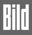 Bild-Logo